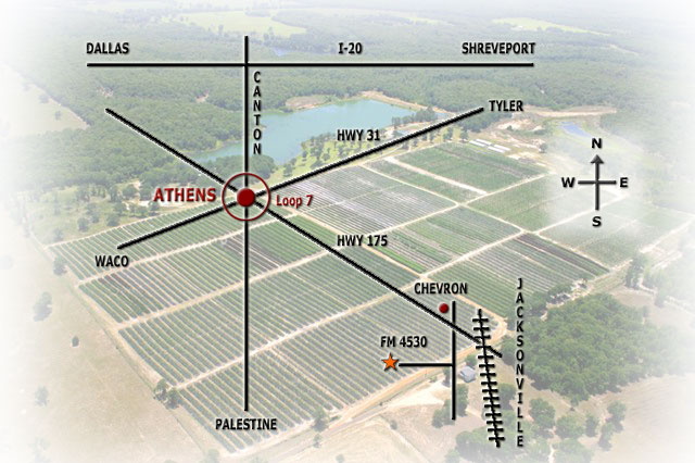 Tree Farm Athens Texas Driving Directions